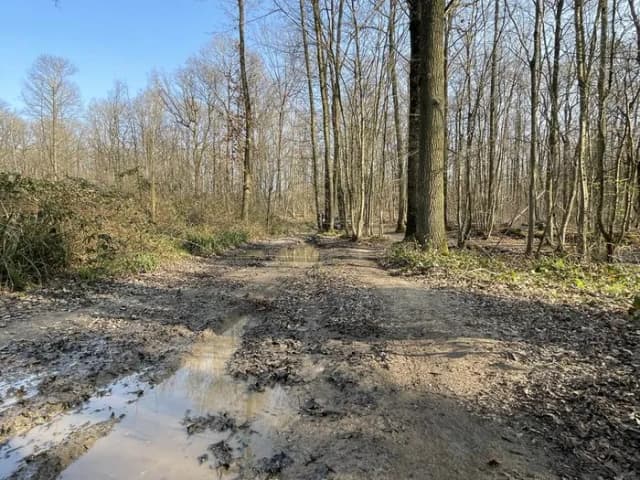 Enduro w Île-de-France: Najlepsze trasy i porady dla motocyklistów Enduro w Île-de-France: Najlepsze trasy i porady dla motocyklistów